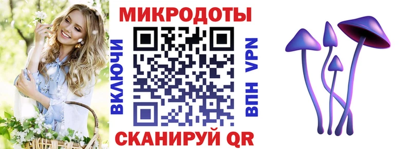 ОМГ ОМГ онион  Светогорск  Галлюциногенные грибы Psilocybe  как найти закладки 